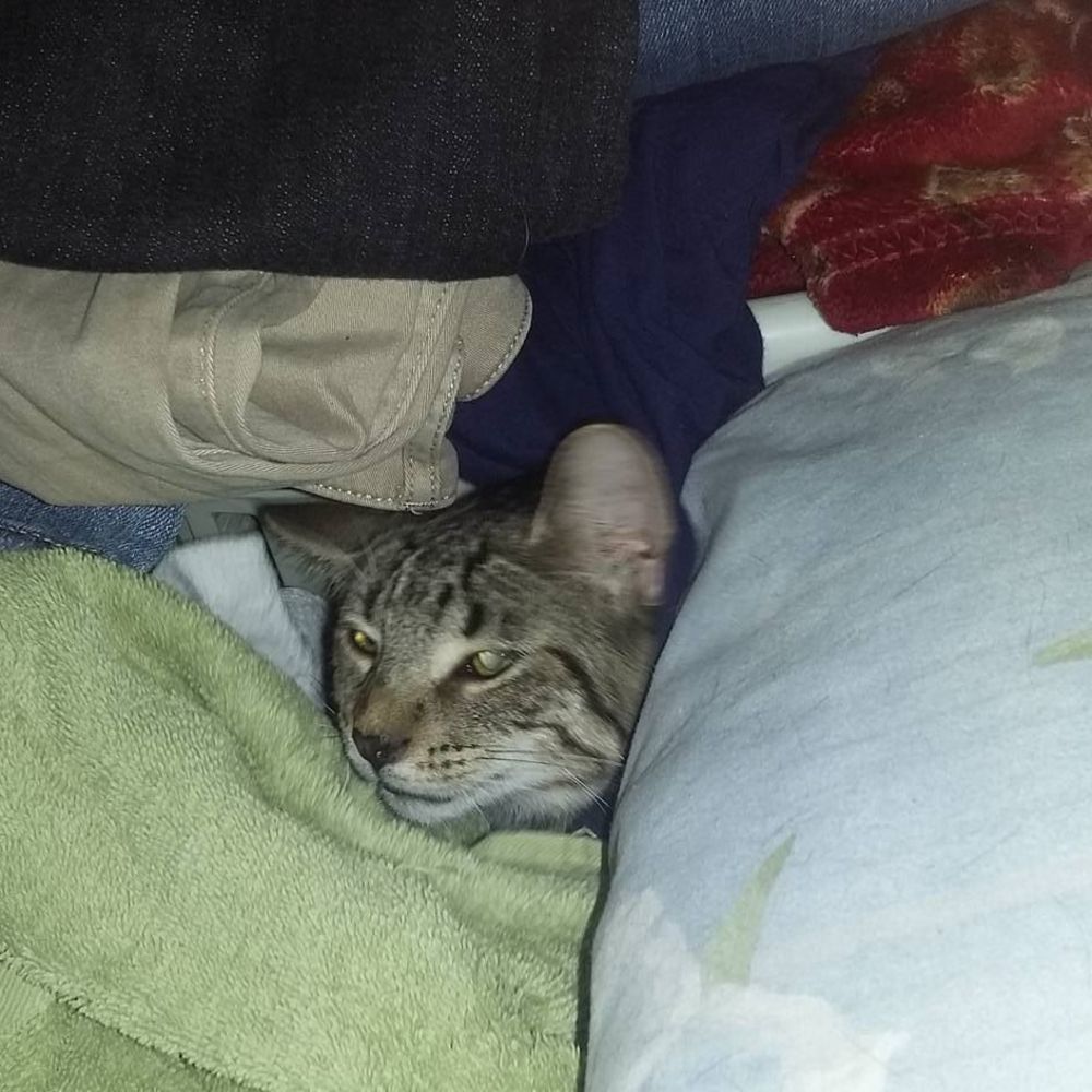 Meet your Posher, Katherine